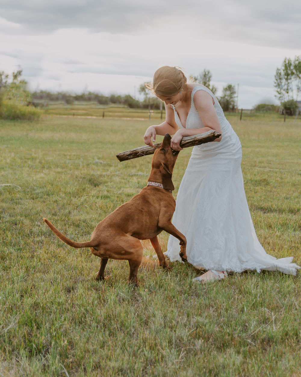 Mabel with Alysia - Dog and Bride Wedding Photo