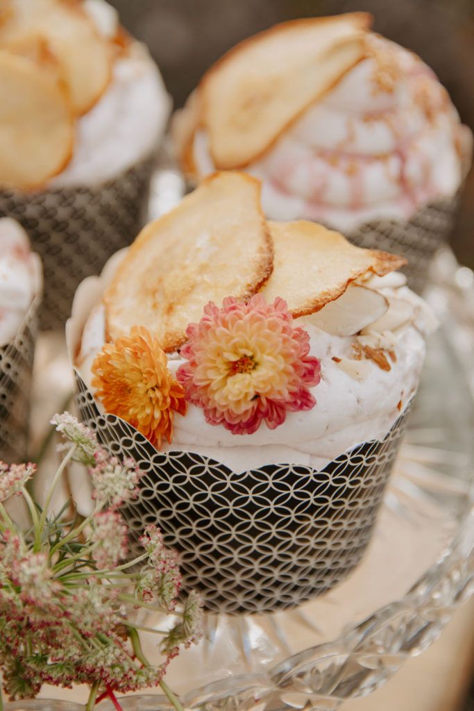 Cupcakes for Small Elopement in Wyoming