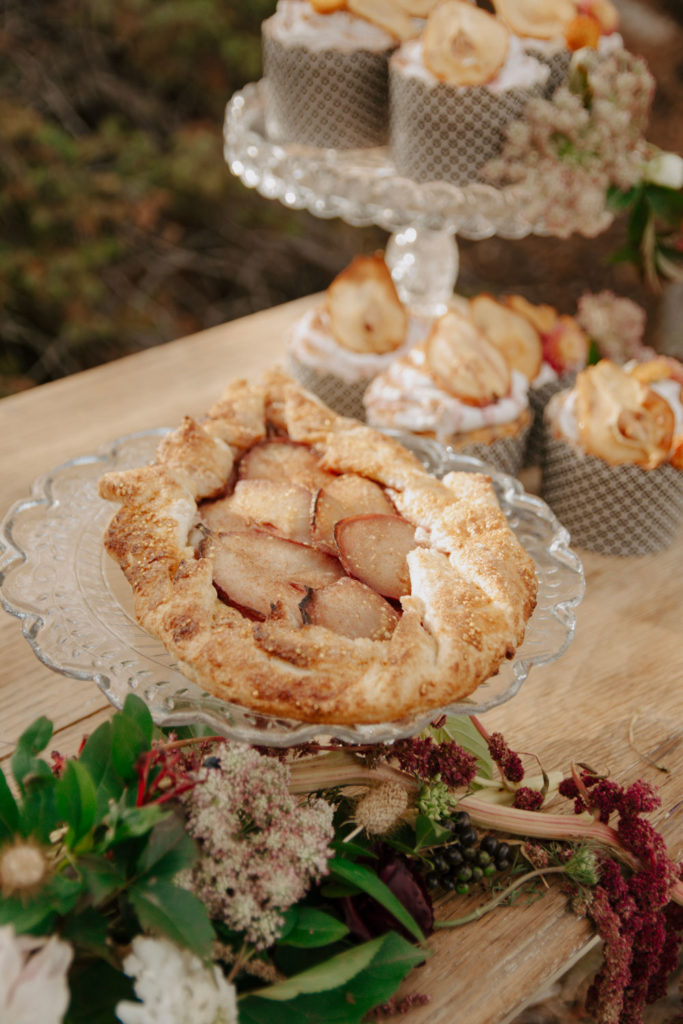 Tartlet for Small Elopement Ceremony on Wyoming Mountain