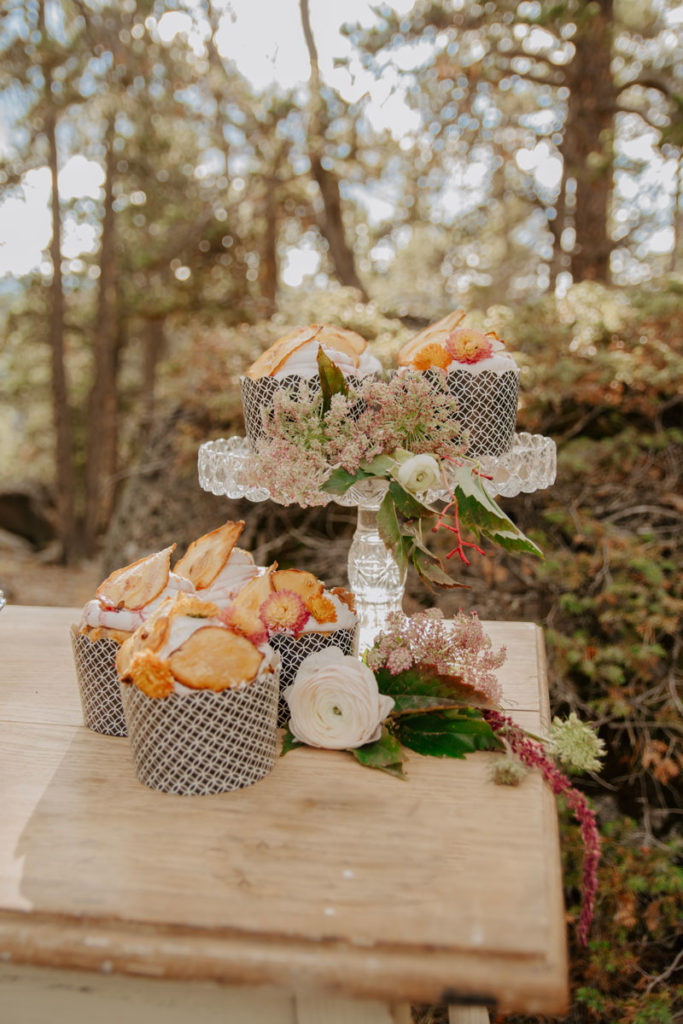Desserts for Elopement in Fall on Wyoming Mountain