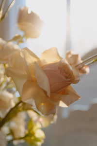 Golden rose from a Wyoming Elopement package in Jackson Hole with Foxtails