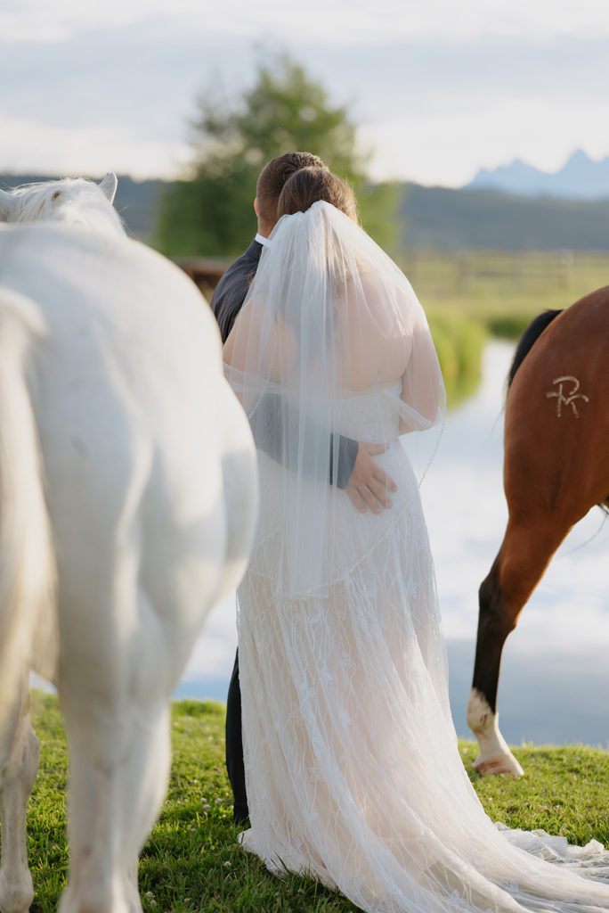 Bride and groom photo ops with white horse at Diamond Cross ranch. 