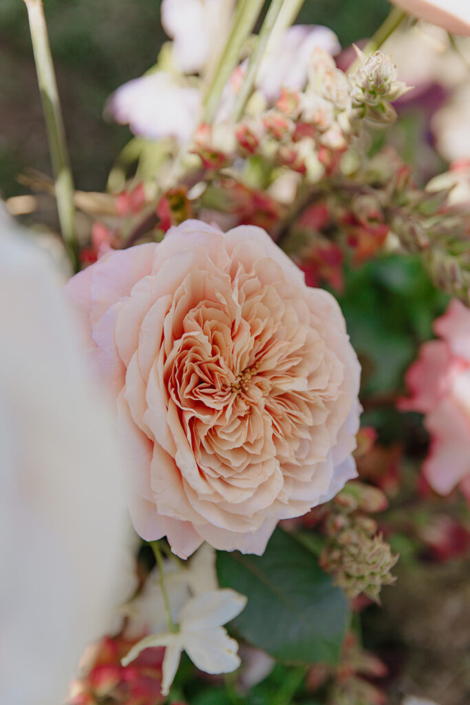 English Rose for a Park city Utah Wedding 