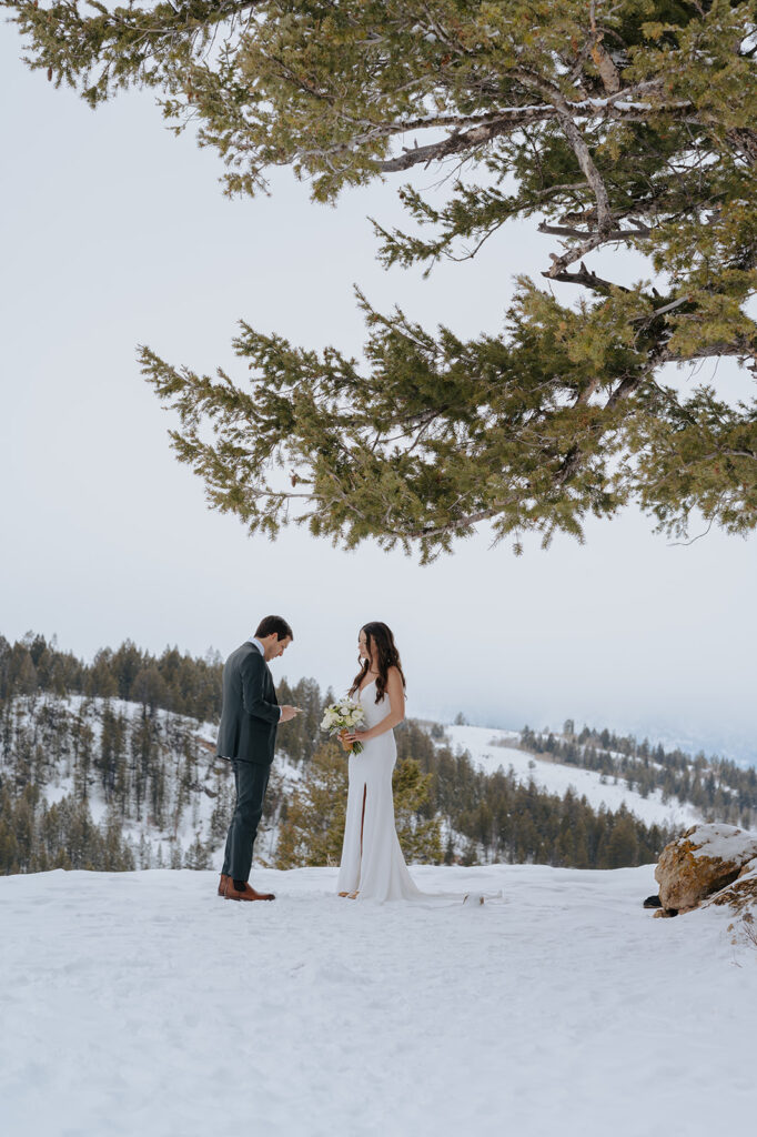 Couple stands under The Wedding Tree for their Jackson hole elopement