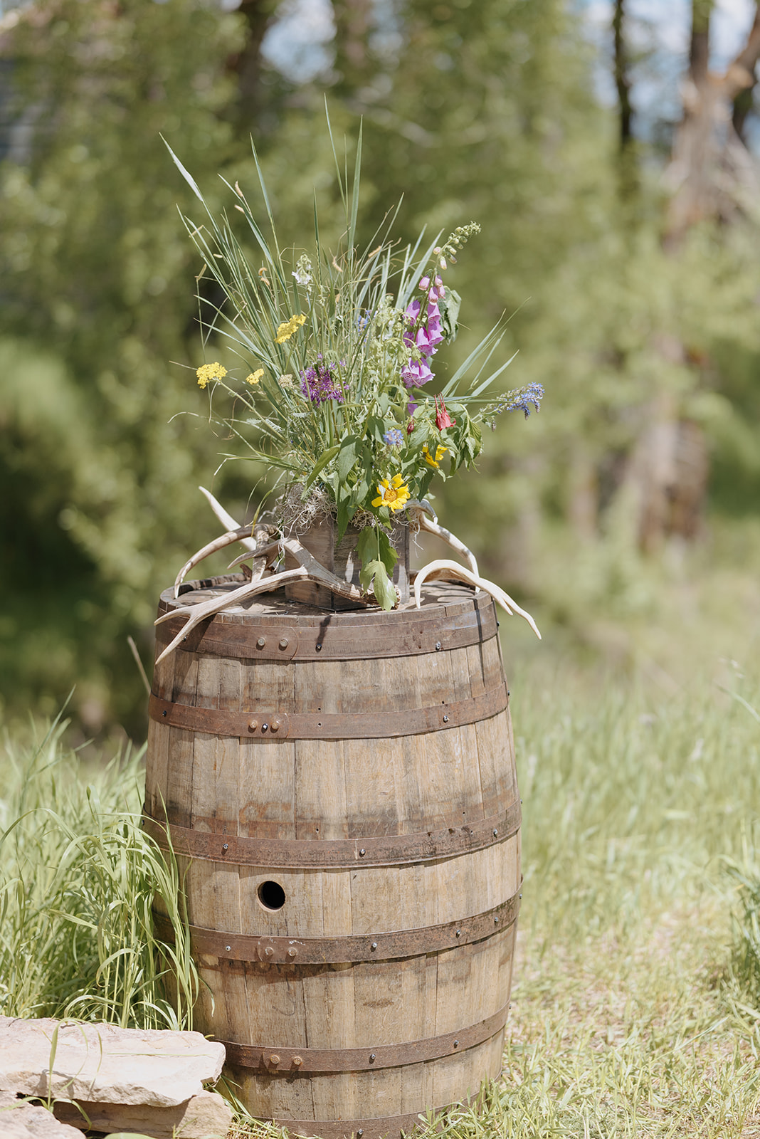 wedding at McReynolds cabin