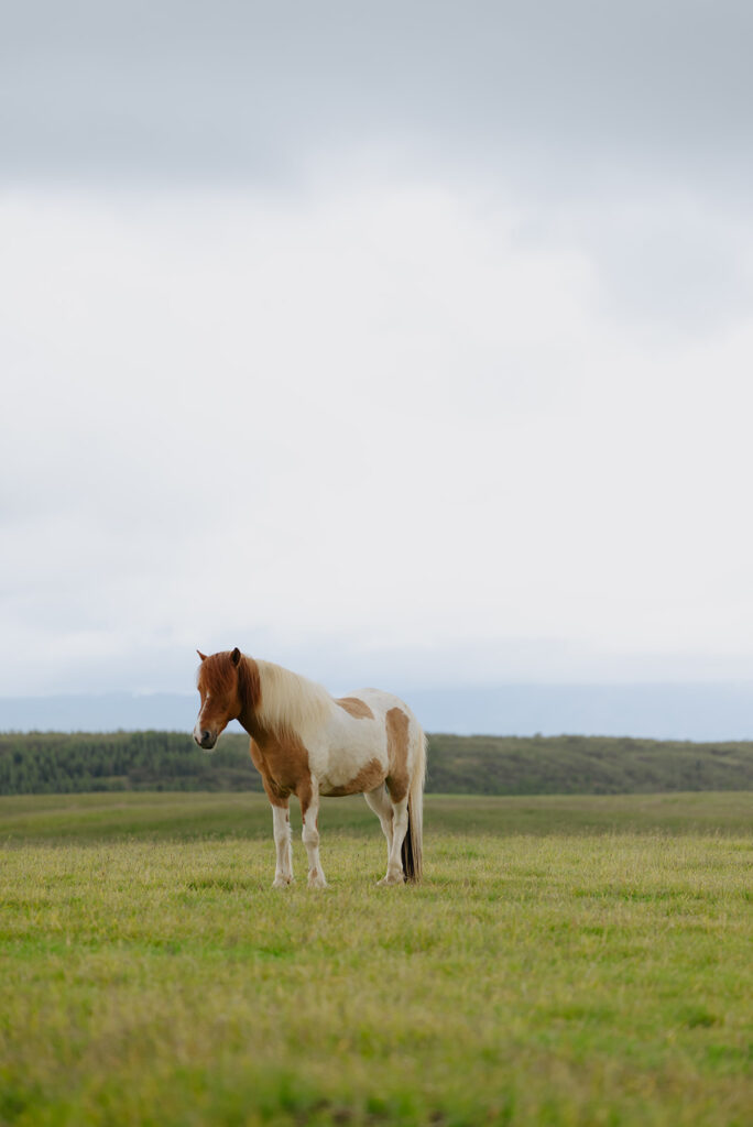 Golden Circle in Iceland